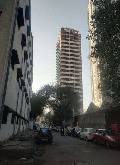 Indian woman elegant